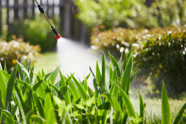 24/7 Emergency Mosquito Control experts in Florida Ridge, FL
