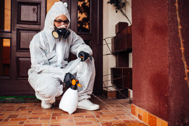 Reliable Mosquito Control contractor in Florida Ridge, FL by Show Me Pest Control